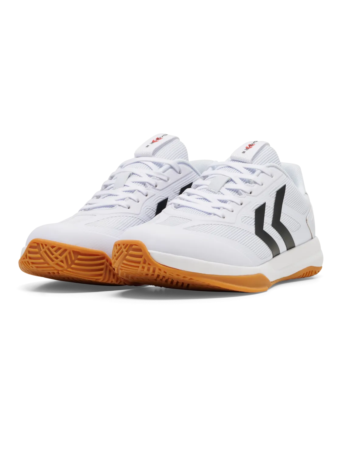 Indoor shoes